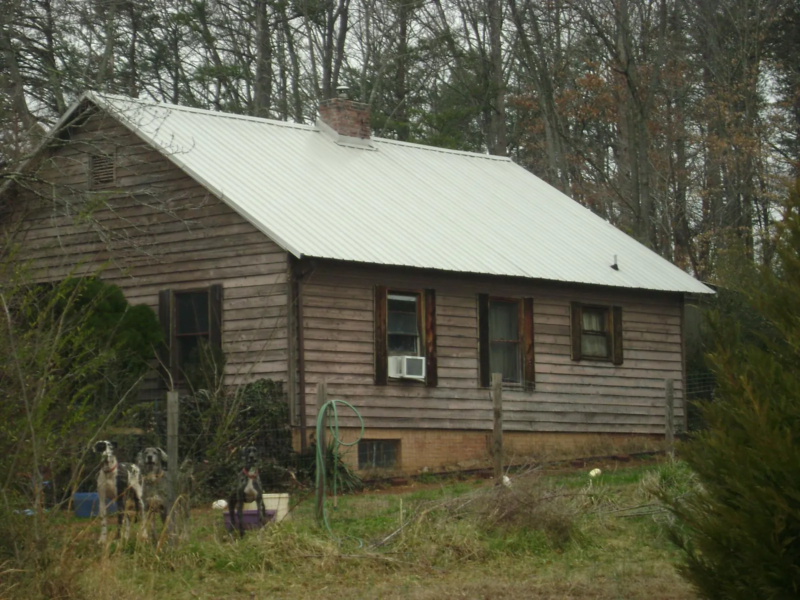 White metal roof on an old wood sided farmhouse, from a Asphalt Shingle Roof Repair job in Oak Ridge